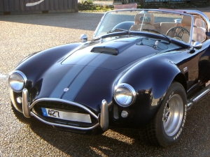Cobra