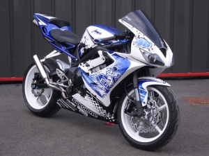 675 Daytona Alpinestars
