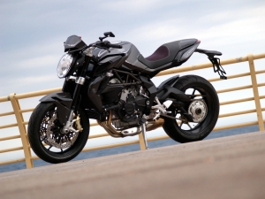 Brutale la Furtive
