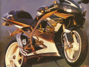 R1 Cougar