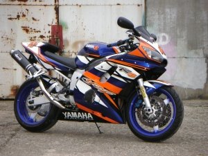 R6 Taz