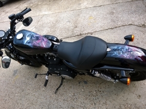 Sportster